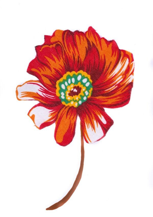 Flor do Nordeste